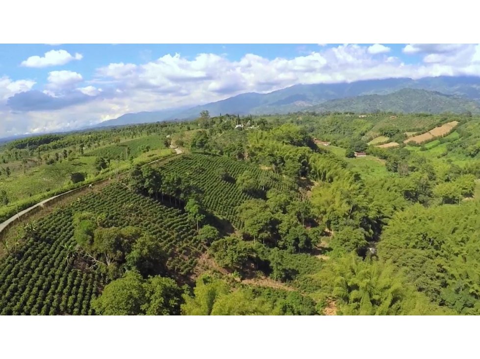 Lote para la venta Armenia-El Caimo — foto 4