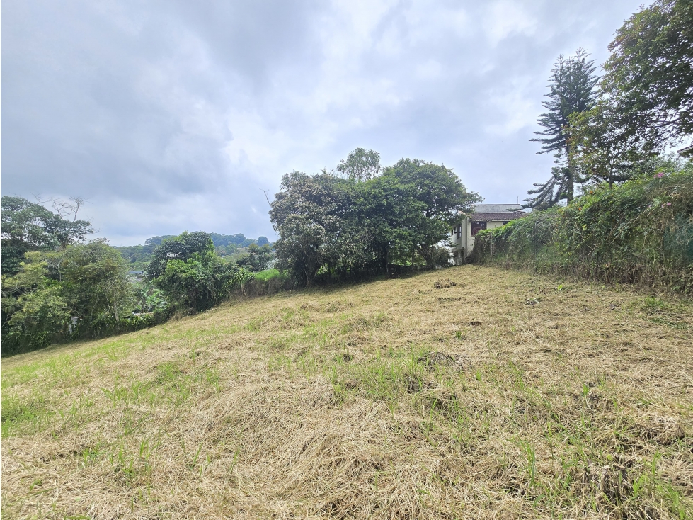 VENTA LOTE CAMPESTRE CIRCASIA — foto 3