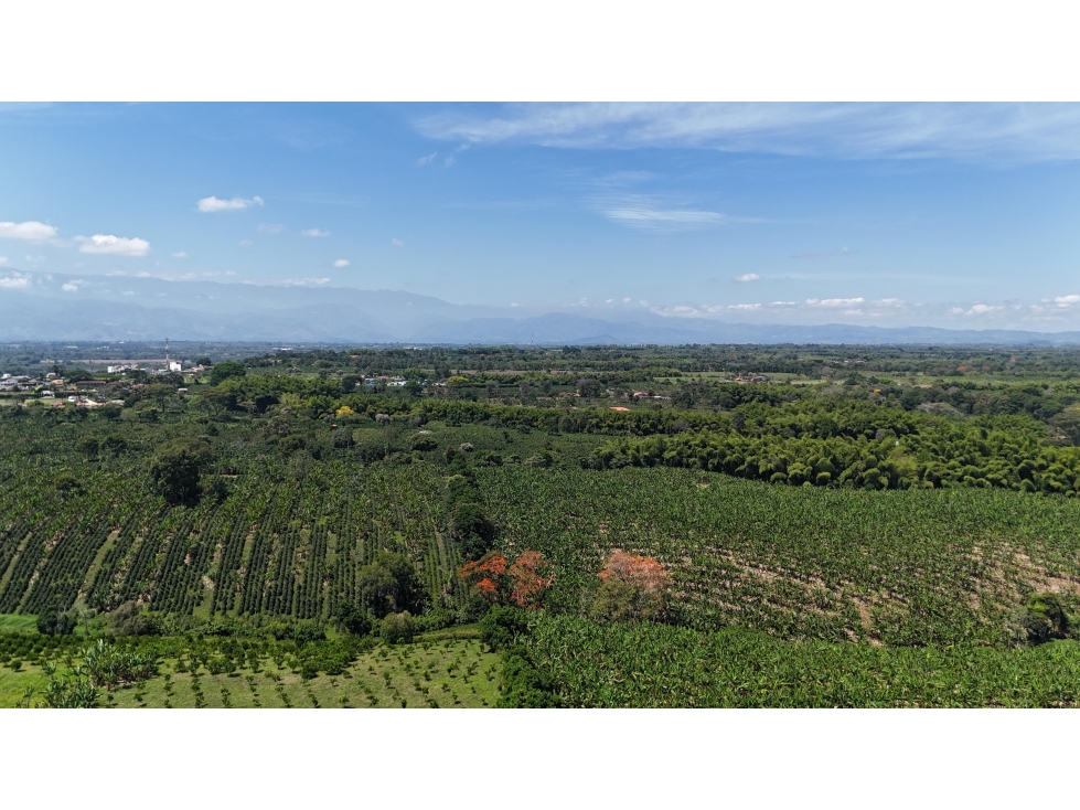 LOTE EN VENTA - PUEBLO TAPAO SECTOR HOTEL LAS CAMELIAS — foto 3