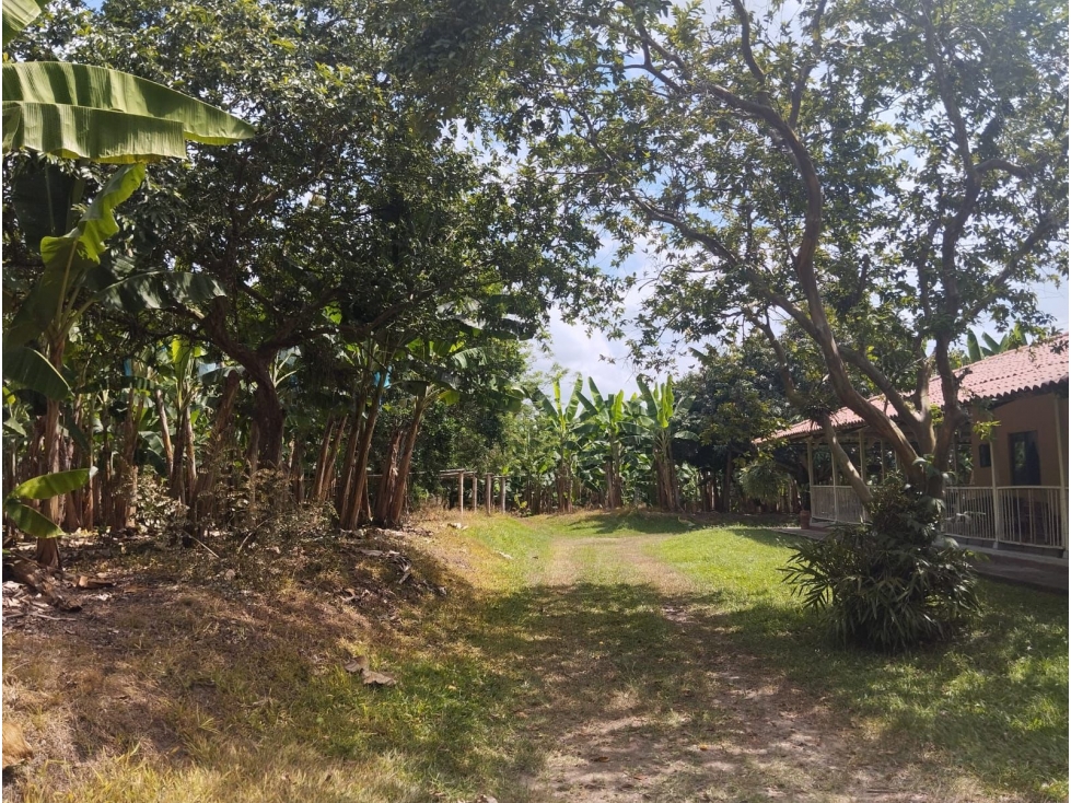 FINCA PARA VENTA EN QUIMBAYA - 3