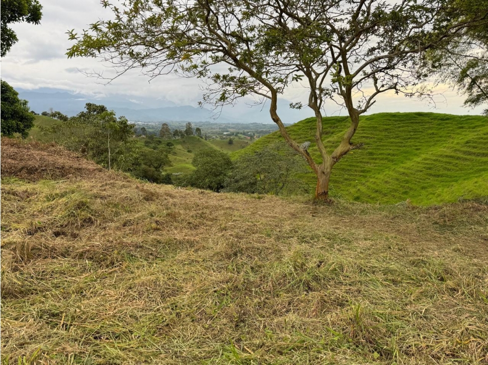 LOTE EN VENTA FILANDIA - 2