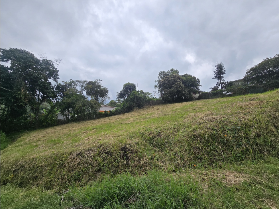 VENTA LOTE CAMPESTRE CIRCASIA — foto 4