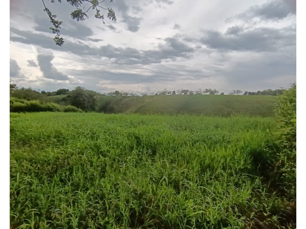 LOTE EN VENTA VIA ALCALA - 3