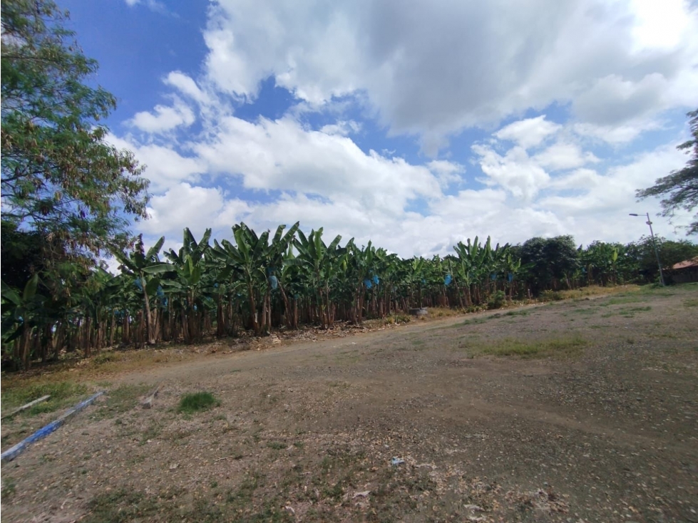FINCA PARA VENTA EN QUIMBAYA - 4