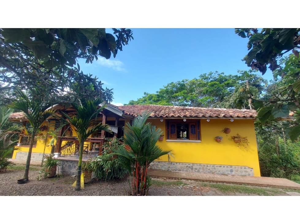 VENDO FINCA PARA TURISMO TEBAIDA