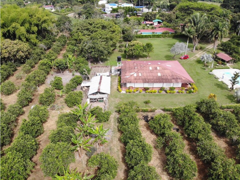 VENDO FINCA APTA PARA DESAROLLO URBANISTICO...VIA VALLE — foto 2