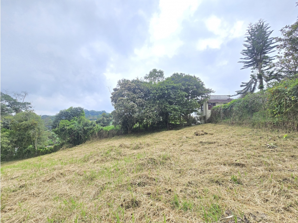 VENTA LOTE CAMPESTRE CIRCASIA — foto 5