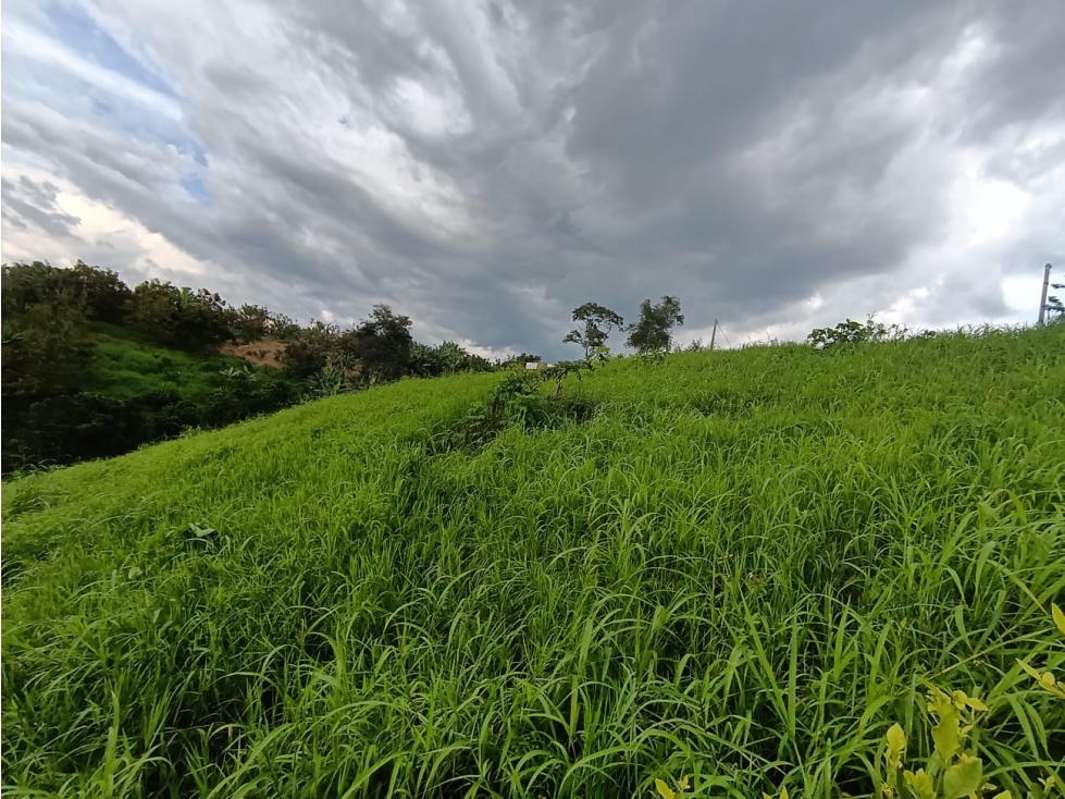 LOTE EN VENTA VIA ALCALA - 4