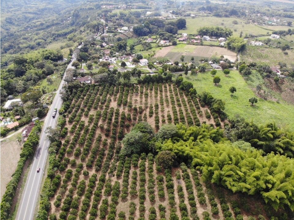 VENDO FINCA APTA PARA DESAROLLO URBANISTICO...VIA VALLE — foto 3