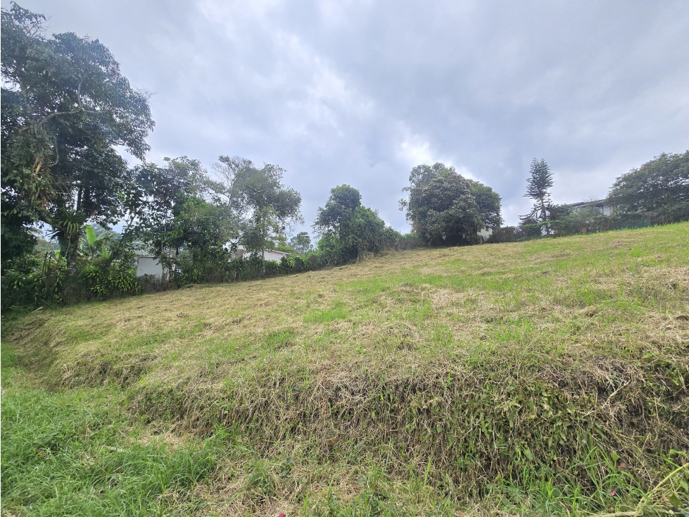 VENTA LOTE CAMPESTRE CIRCASIA — foto 6