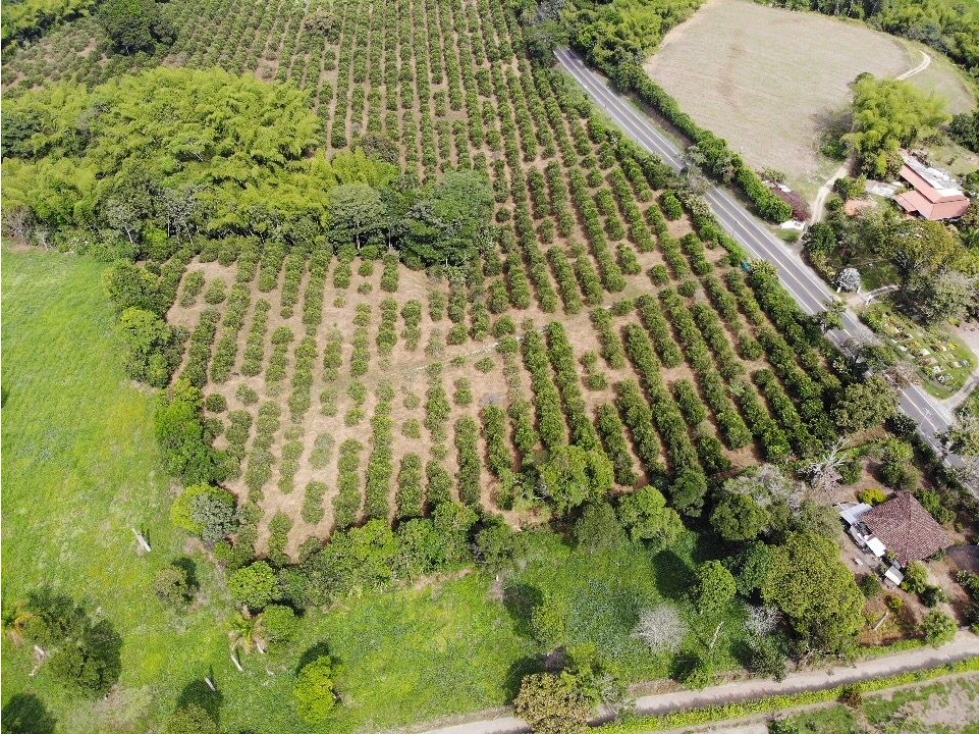 VENDO FINCA APTA PARA DESAROLLO URBANISTICO...VIA VALLE — foto 6