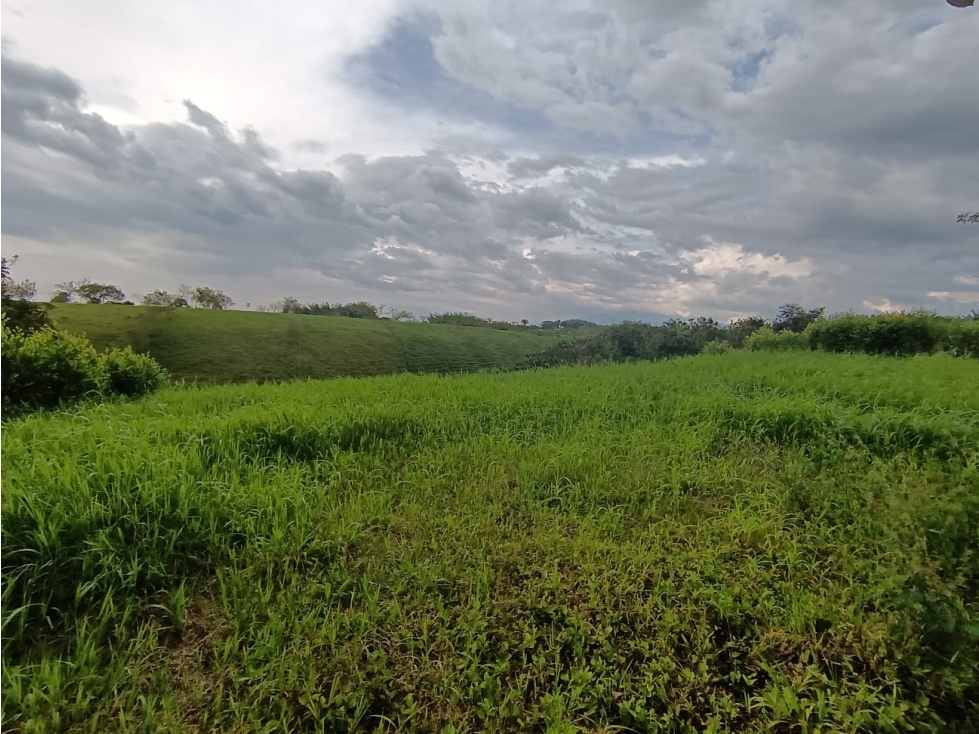 LOTE EN VENTA VIA ALCALA - 6