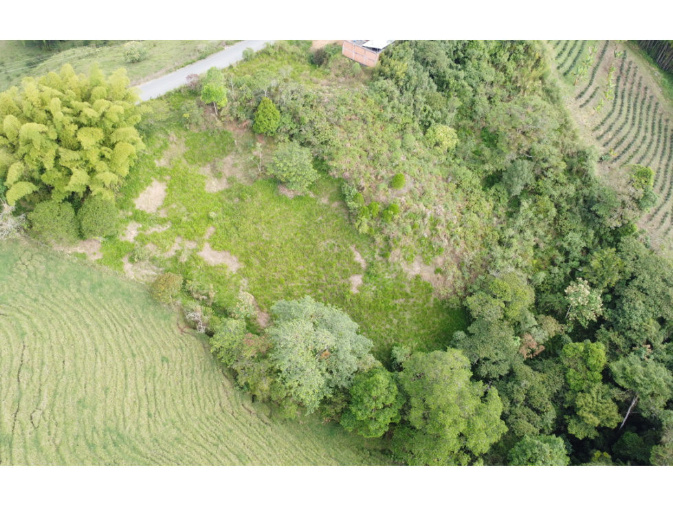 LOTE EN VENTA FILANDIA - 6