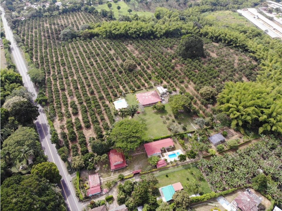 VENDO FINCA APTA PARA DESAROLLO URBANISTICO...VIA VALLE