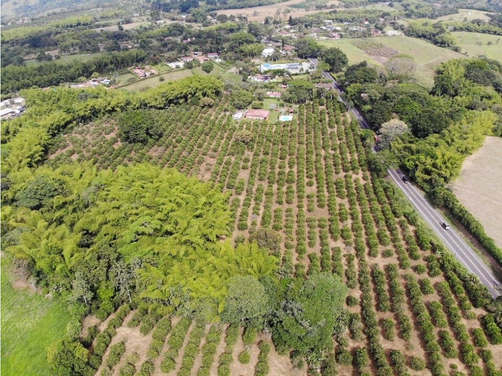 VENDO FINCA APTA PARA DESAROLLO URBANISTICO...VIA VALLE — foto 4