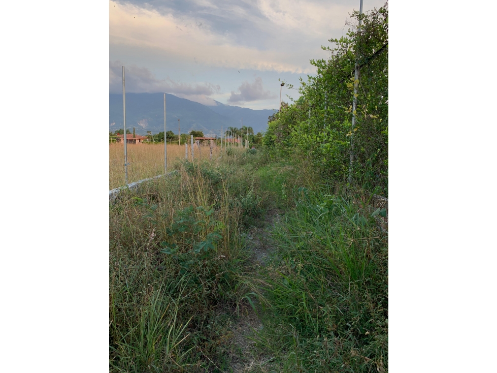 Lote terreno de 2.500m2 en condominio en venta Santa Elena El Cerrito - 6