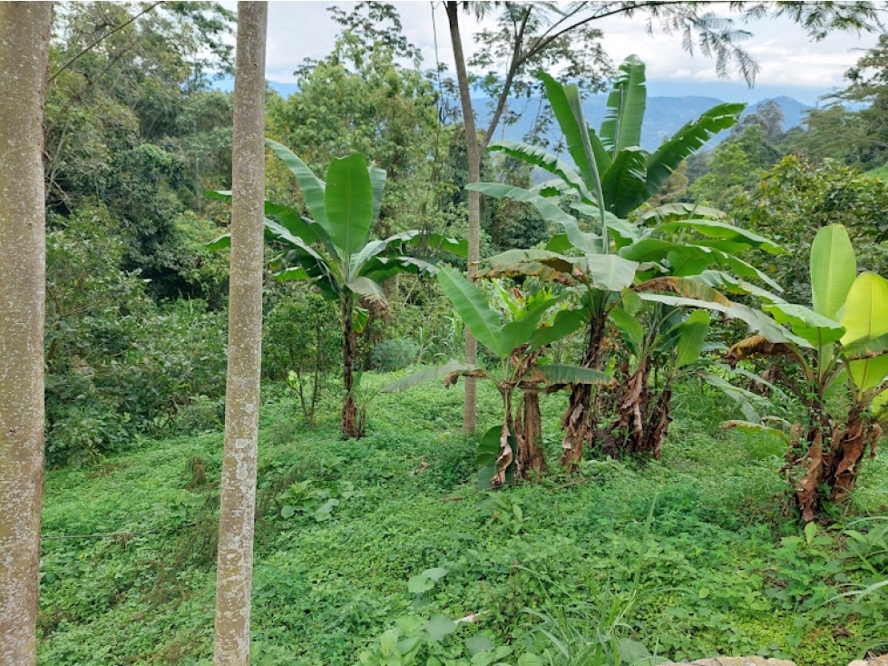 VENTA FINCA EN MESITAS DEL COLEGIO — foto 4
