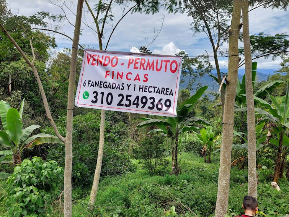 VENTA FINCA EN MESITAS DEL COLEGIO