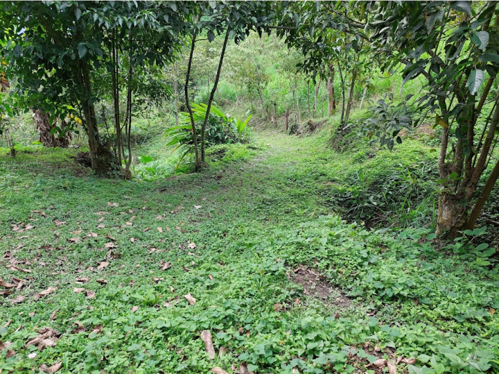 VENTA FINCA EN MESITAS DEL COLEGIO — foto 6