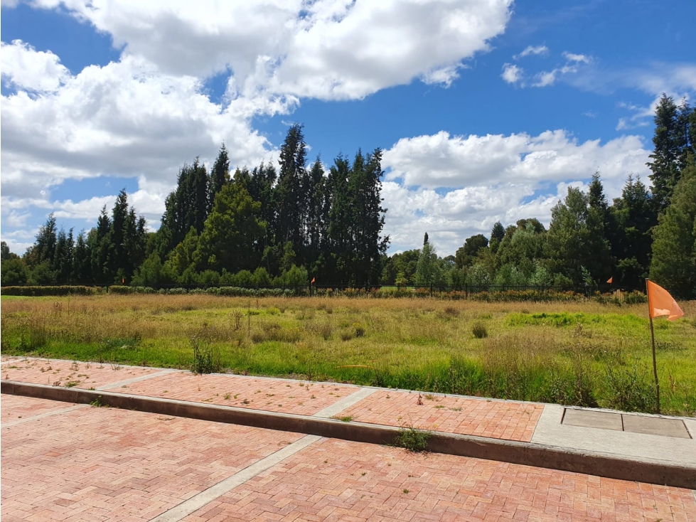SOPO VENTA LOTE 1.014m2 — foto 5