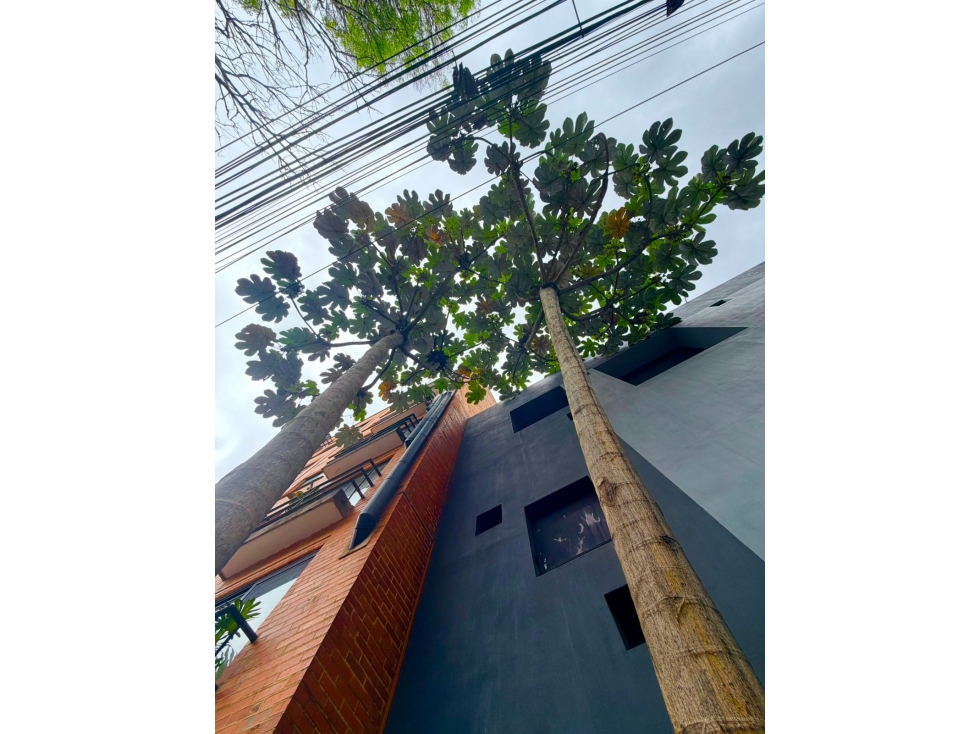 OFICINA EN ARRIENDO/ ZONA G - 48mts +15 mts (Pasillo), $7,6M — foto 5