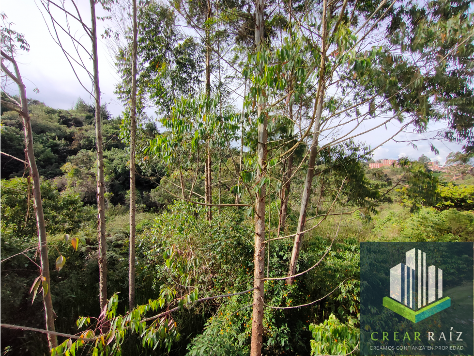 Arriendo casa en Rionegro