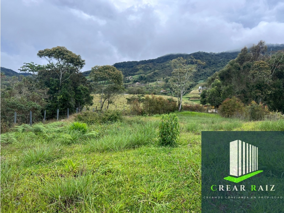 Vendo lote en el Carmen de Viboral sector la Rivera — foto 2