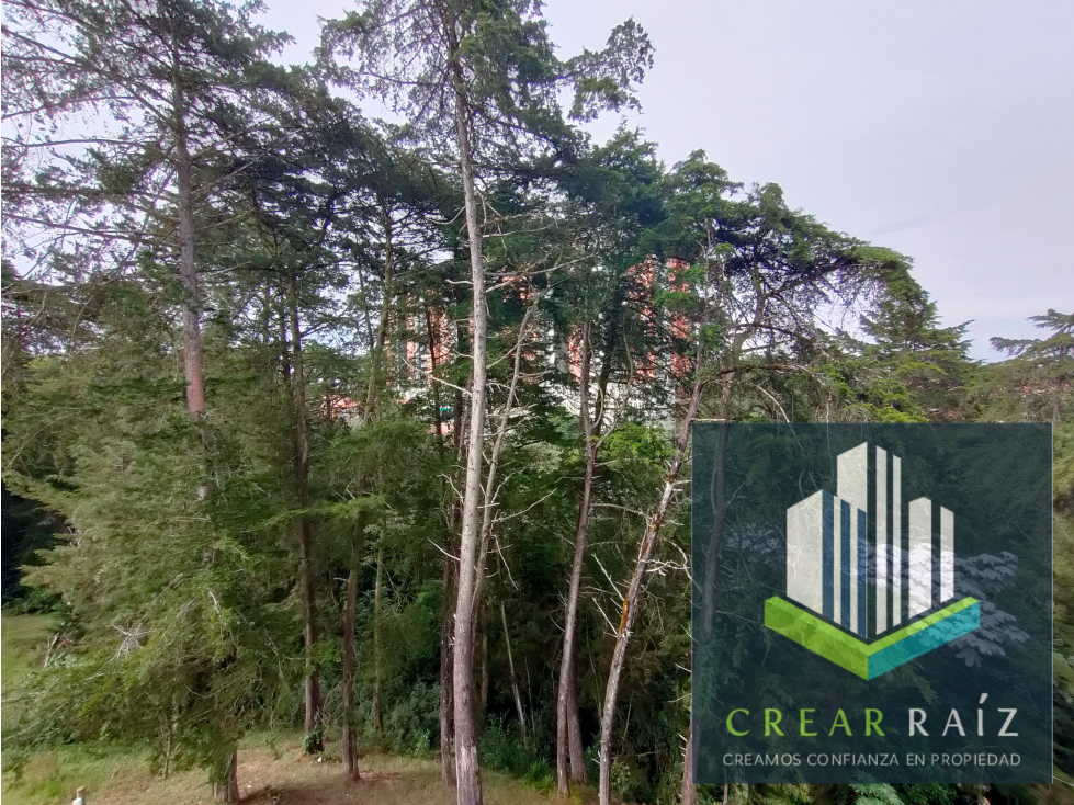 Arriendo apartamento en San Antonio de Pereira
