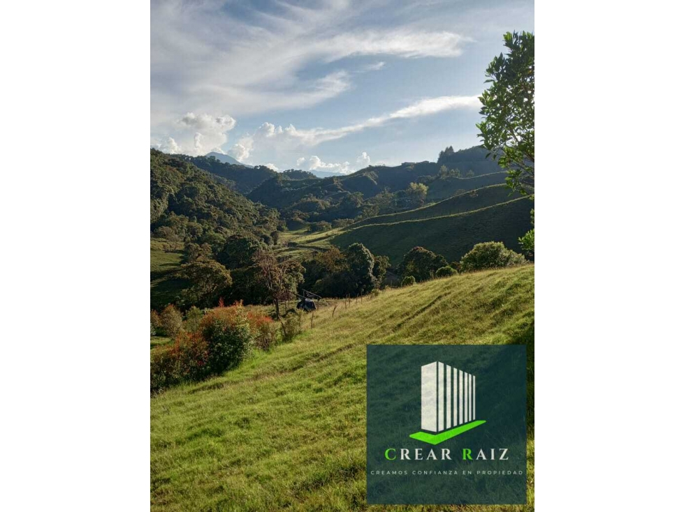 Vendo finca en Sonsón Antioquia - 5