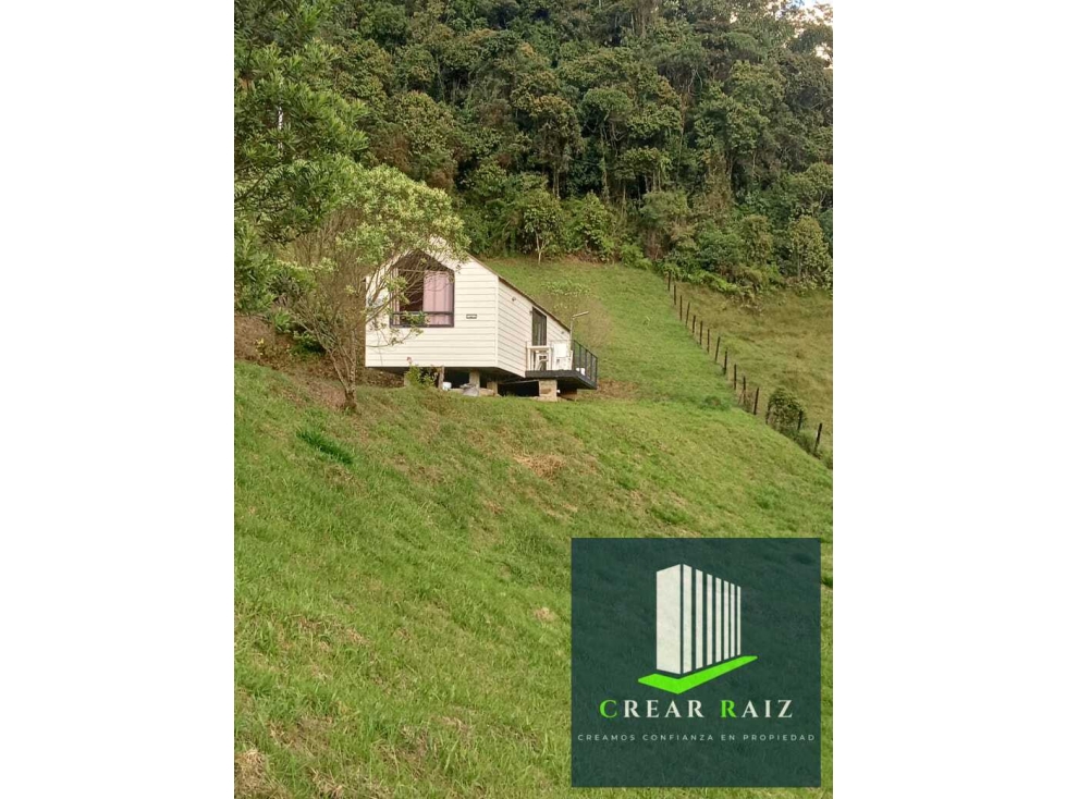 Vendo finca en Sonsón Antioquia - 6
