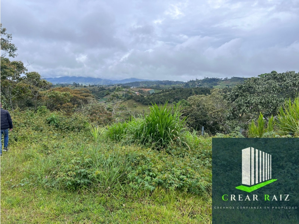 Vendo lote en el Carmen de Viboral sector la Rivera — foto 5
