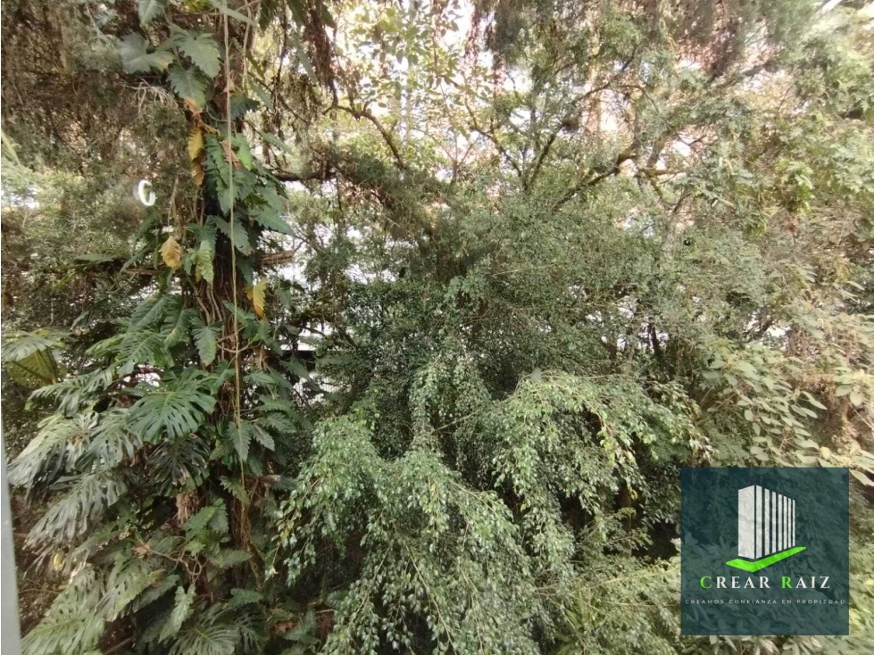 ARRIENDO APARTAMENTO EN RIONEGRO ANTIOQUIA - 2