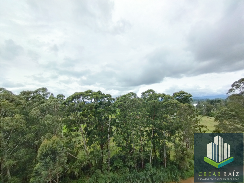 Arriendo apartamento en Rionegro