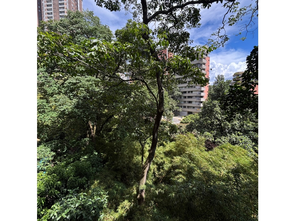 VENDO APARTAMENTO AMPLIO EXCELENTE INVERSION SECTOR VIZCAYA PROVENZA — foto 6