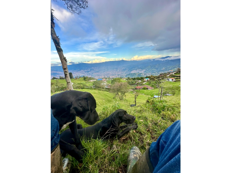 GLAMPING CON LA MEJOR VISTA A LA CIUDAD DE MEDELLIN — foto 4