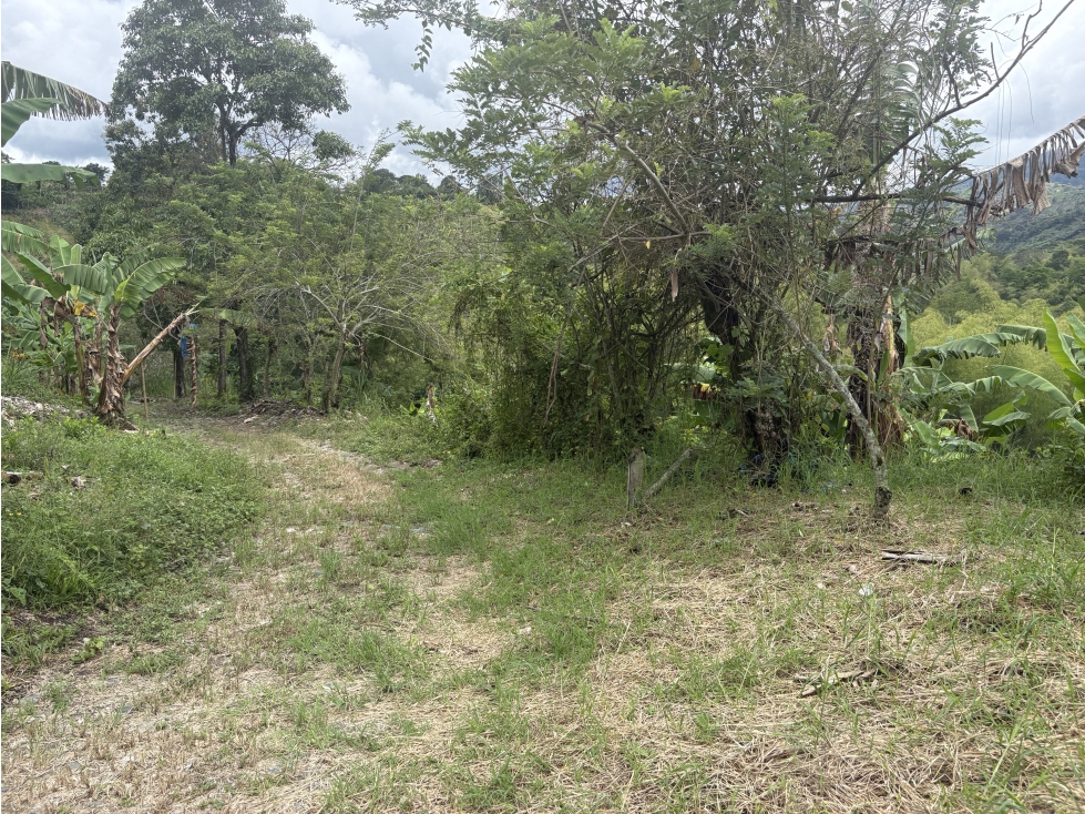 ARRIENDO FINCA BARCELONA QUINDIO - 4