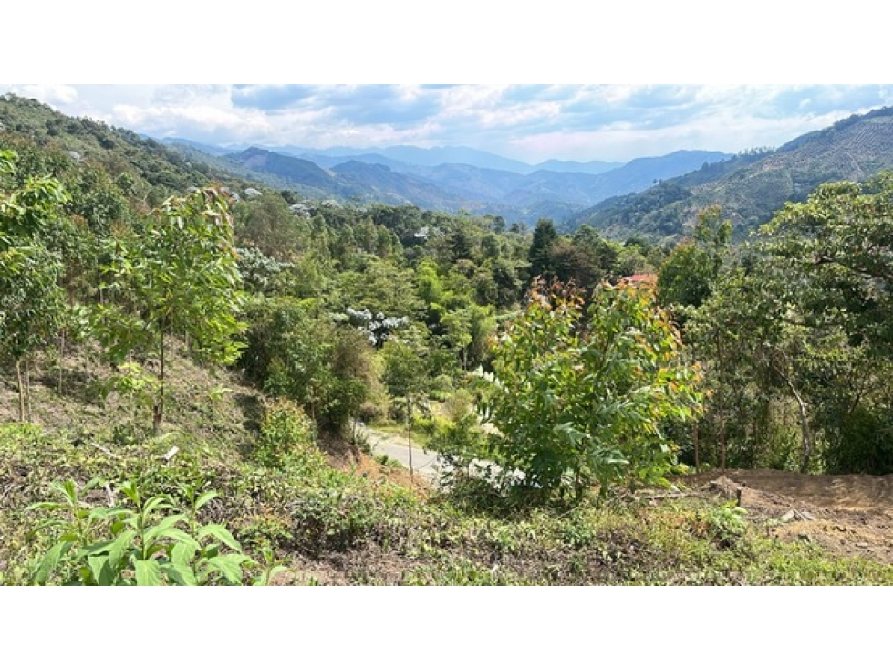 VENTA FINCA PIJAO QUINSIO - 2