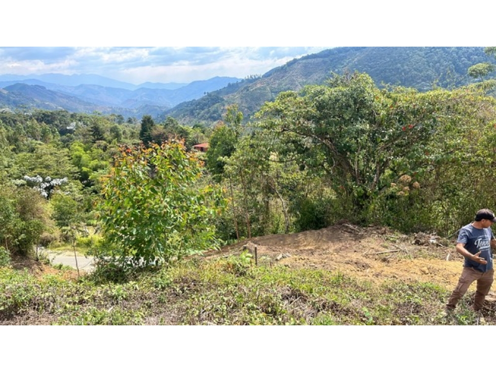 VENTA FINCA PIJAO QUINSIO - 3