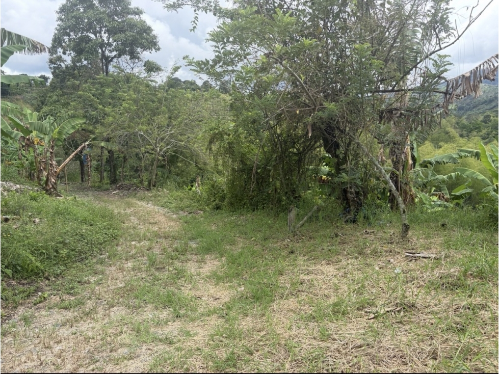 ARRIENDO FINCA BARCELONA QUINDIO - 6