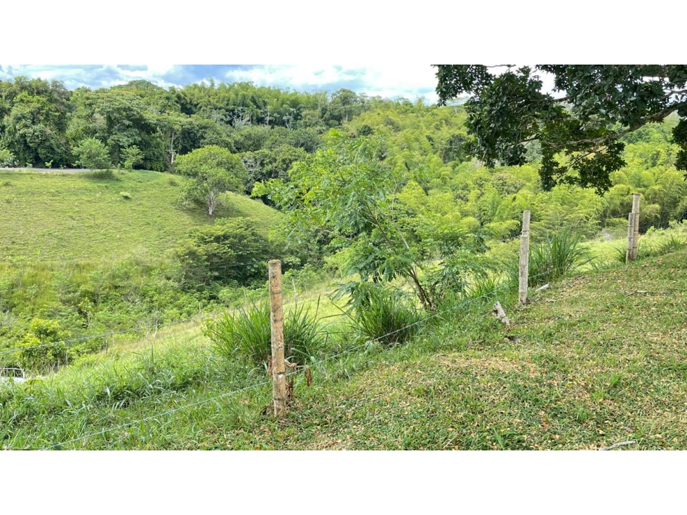 Lote en venta - Cerritos - Risaralda — foto 5