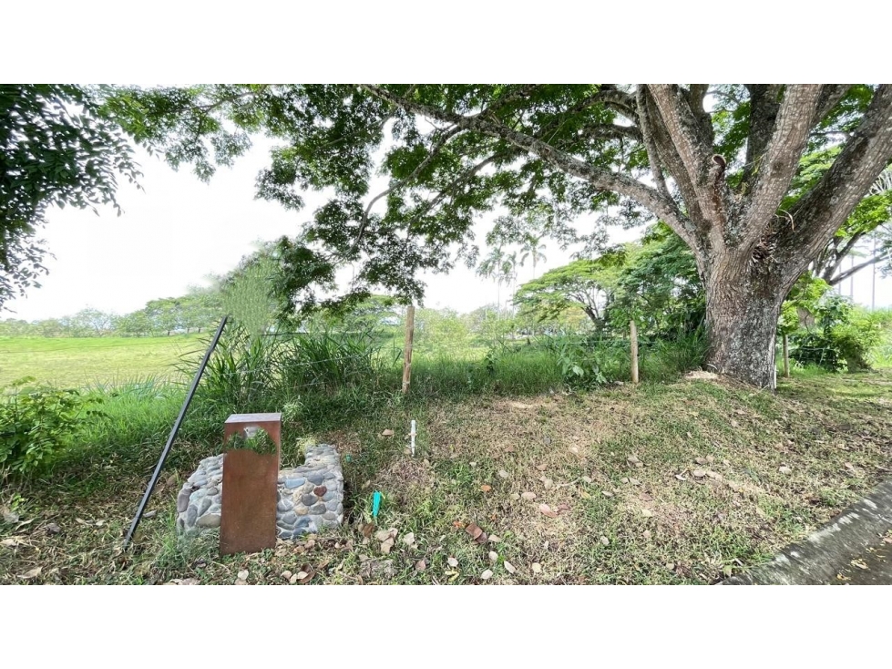 Lote en venta - Cerritos - Risaralda — foto 6