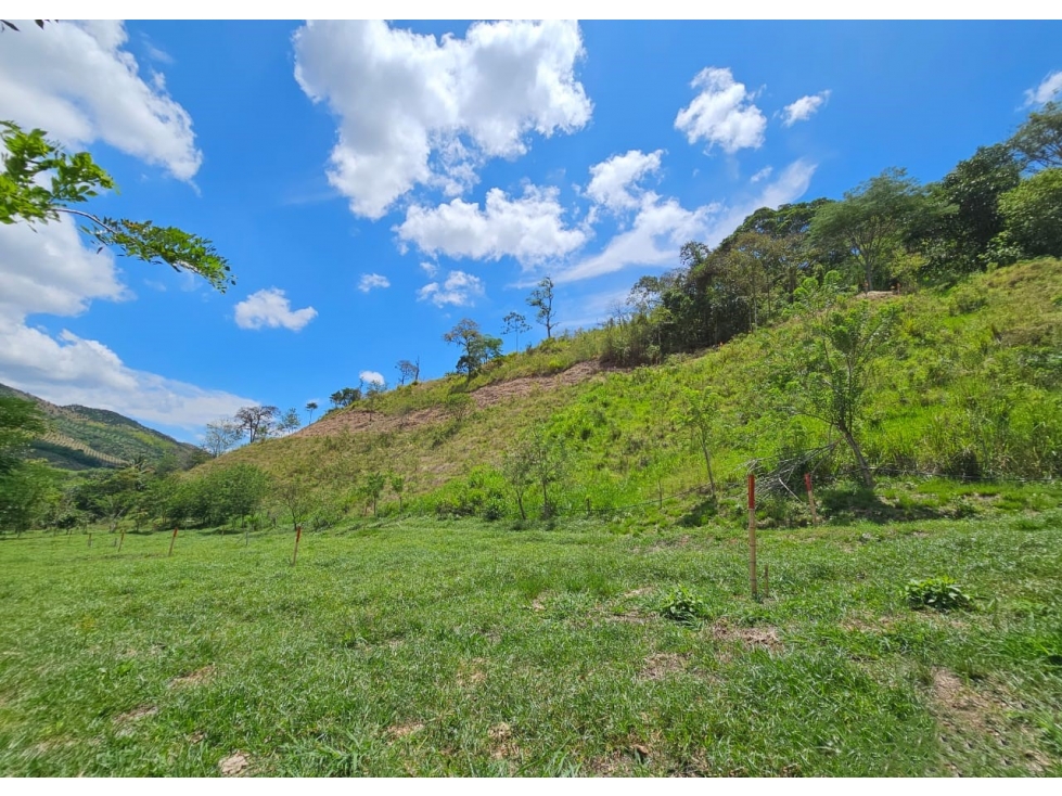 Lote en venta - Cambia - Risaralda - 2