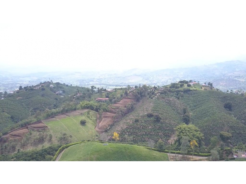 Lote en venta - Palestina - Manizales