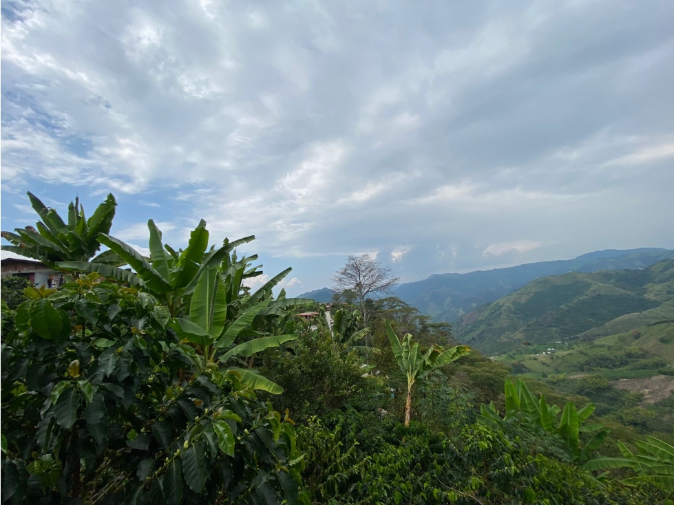 Lote en venta - Quiebra de Vélez - Manizales — foto 2