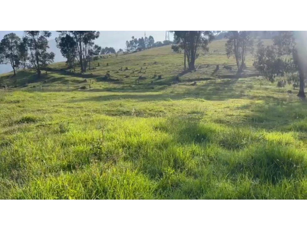 Lote en venta - Maltería - Manizales — foto 2