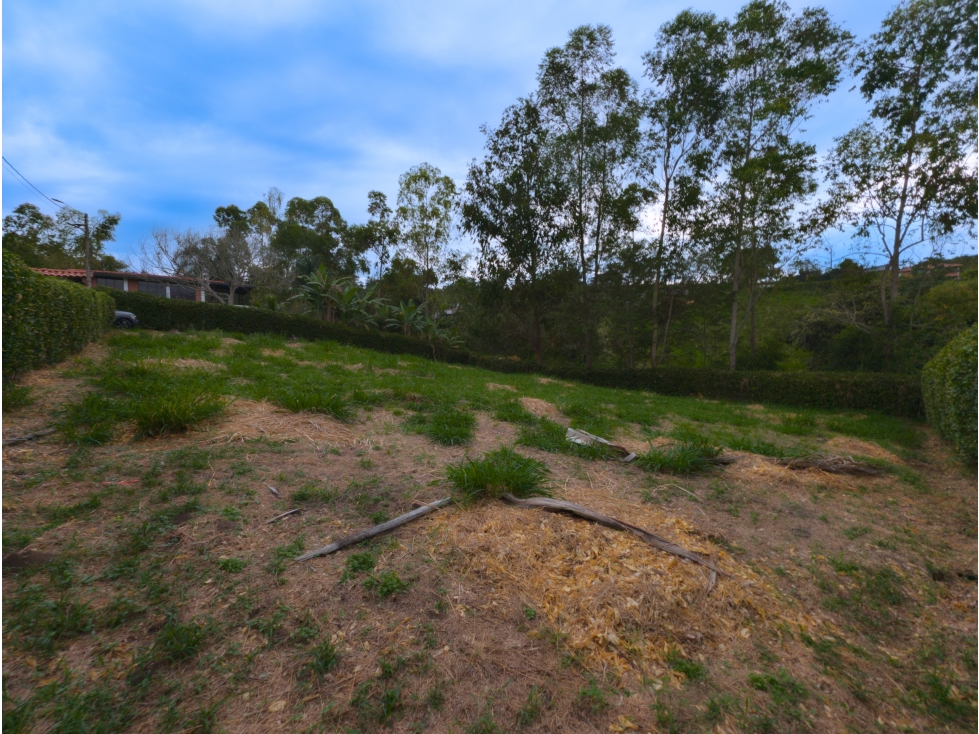 Lote en venta - Neira - Caldas - 3