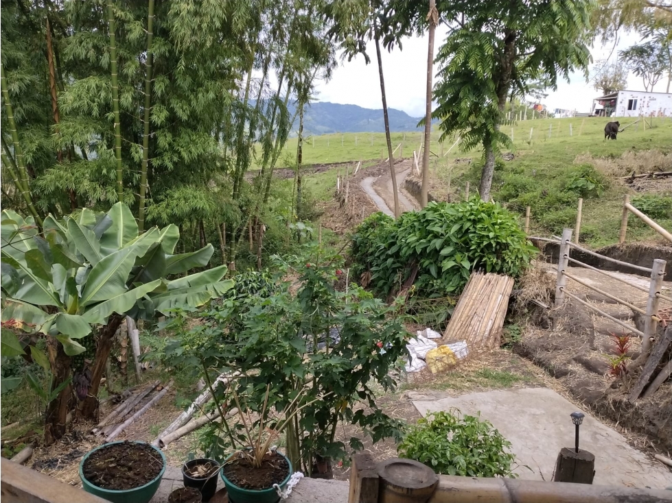 Lote en venta - Pueblo Rico - Neira - 1