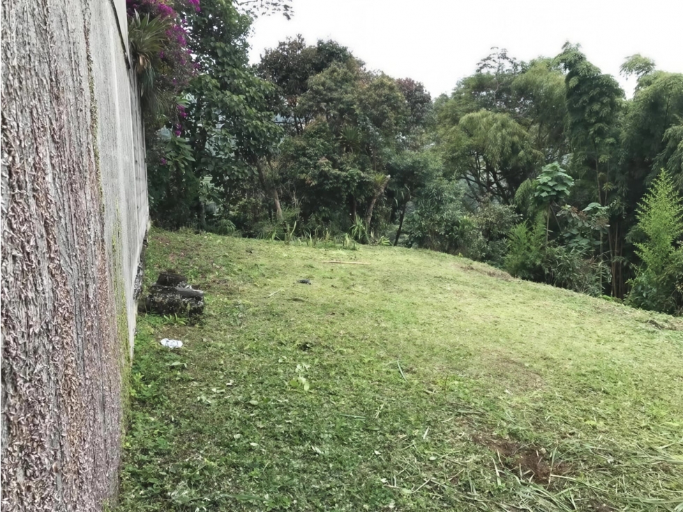 Lote en venta - La Francia - Manizales