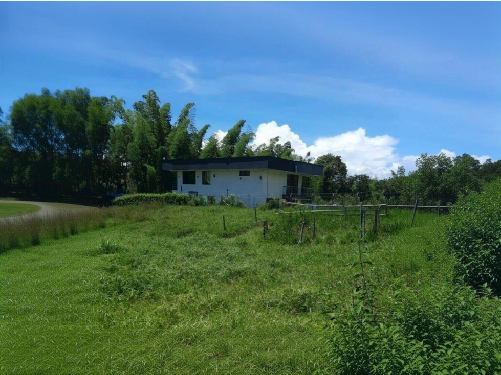 Lote en venta - Vereda el Berrion - Palestina - 1