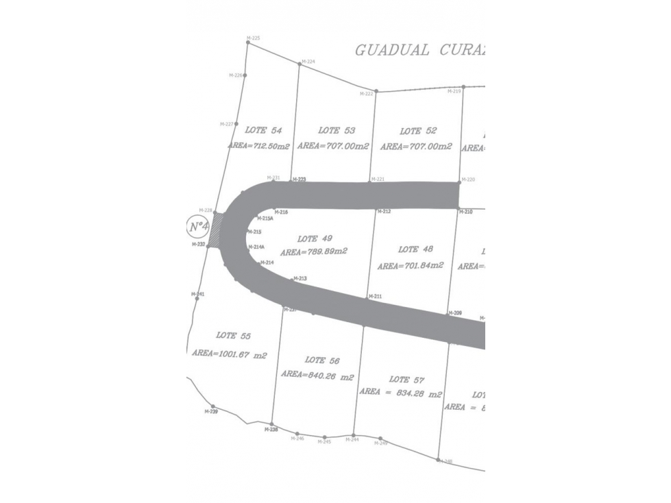 Lote en venta en Chinchiná - 5